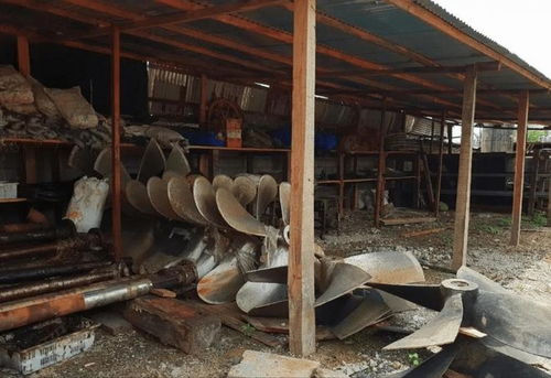 從日用百貨到非洲新機遇 探索多元化發展路徑